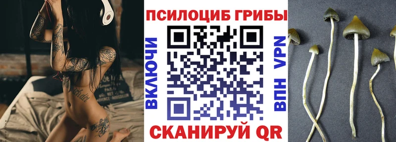 Псилоцибиновые грибы прущие грибы  Заозёрный 