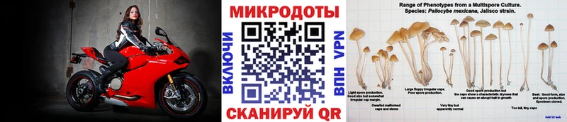 Галлюциногенные грибы Psilocybine cubensis Заозёрный